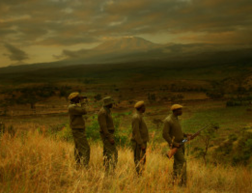 Kilimanjaro Foot Patrol Reports for Duty