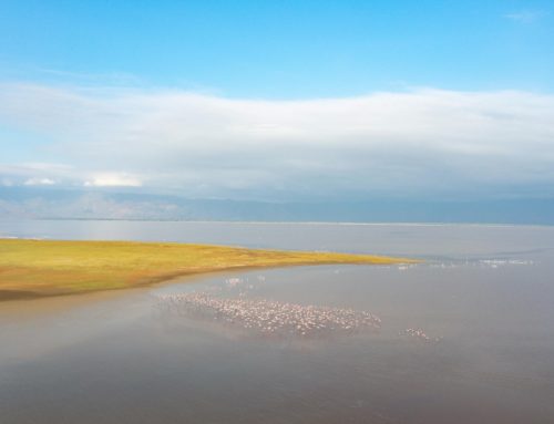A Model of Community-Led Conservation Success